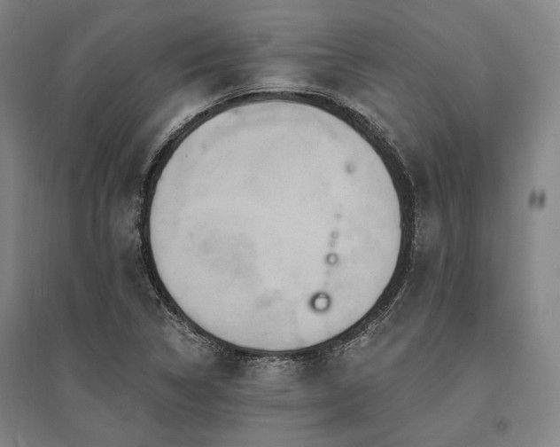 X0000095551314200712141546
