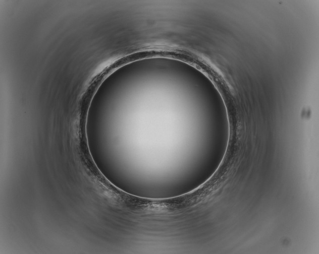 X0000095551315200712141546