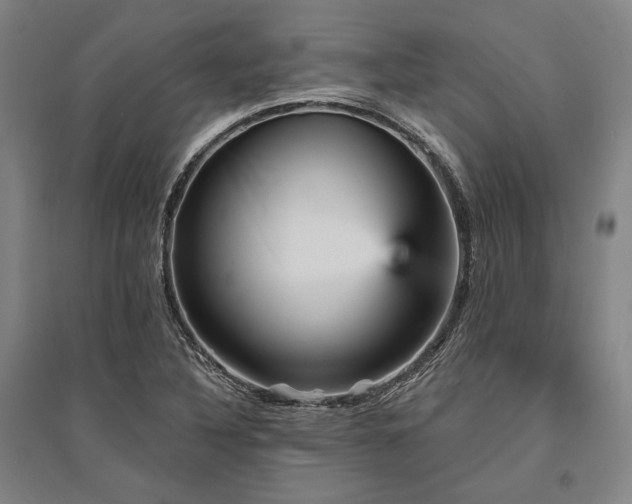 X0000095551316200712141546
