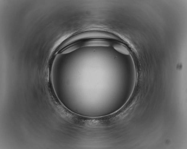 X0000095551317200712141546