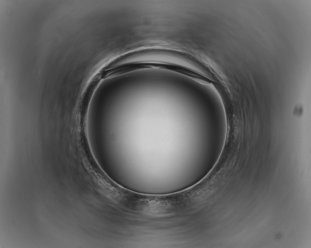 X0000095551318200712141546