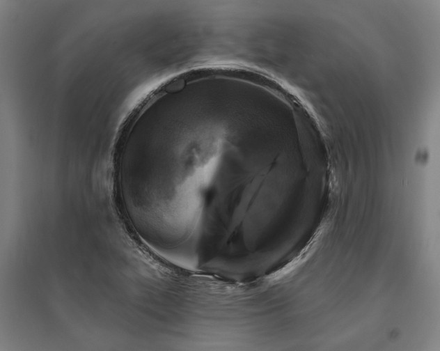 X0000095551319200712141546