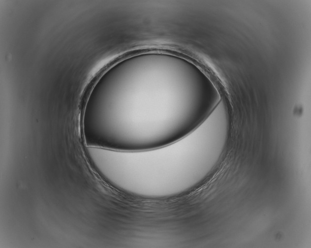 X0000095551320200712141546