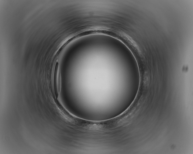X0000095551321200712141546