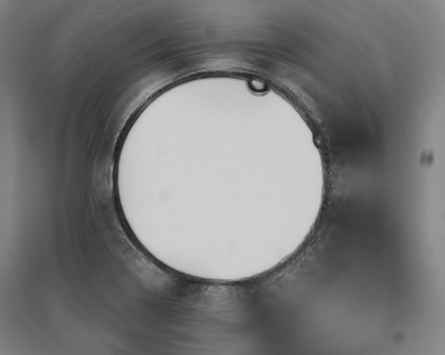 X0000095551322200712141546