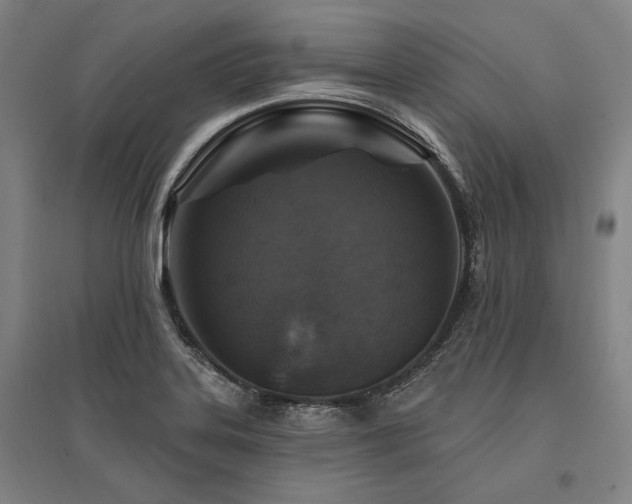 X0000095551323200712141546