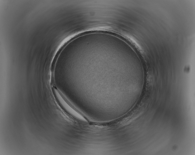 X0000095551324200712141546