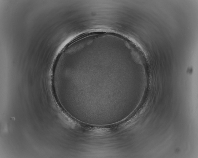 X0000095551325200712141546