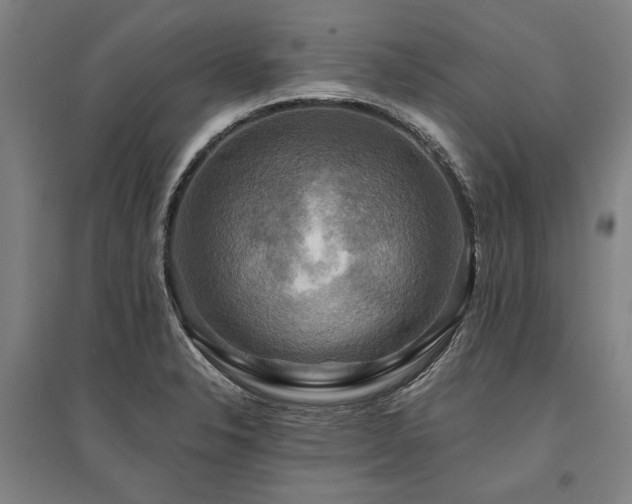 X0000095551326200712141546