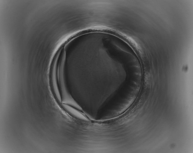 X0000095551327200712141546
