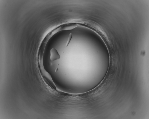 X0000095551328200712141546