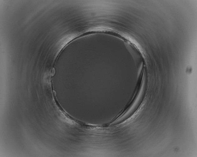 X0000095551329200712141546