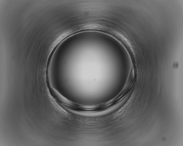 X0000095551330200712141546