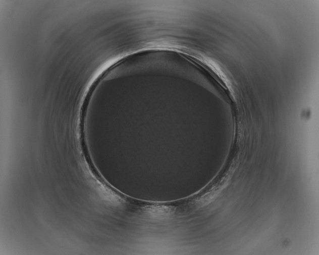 X0000095551331200712141546