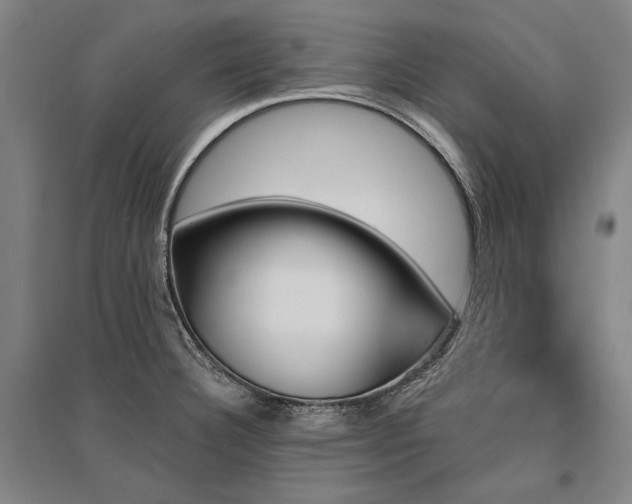 X0000095551332200712141546