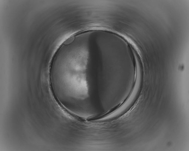 X0000095551333200712141546