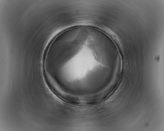 X0000095551334200712141546