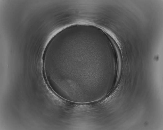 X0000095551335200712141546