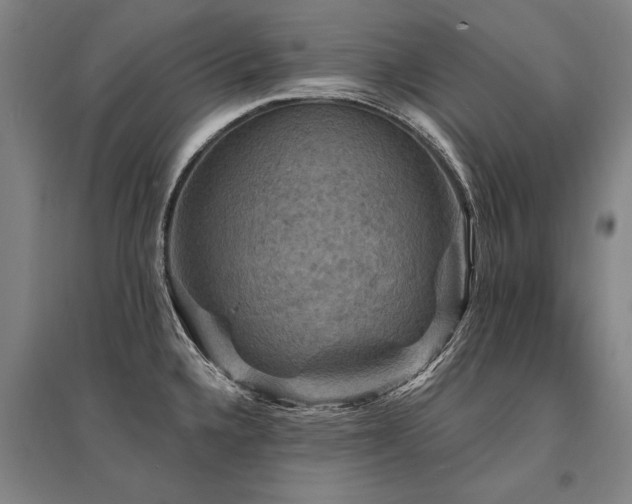 X0000095551336200712141546