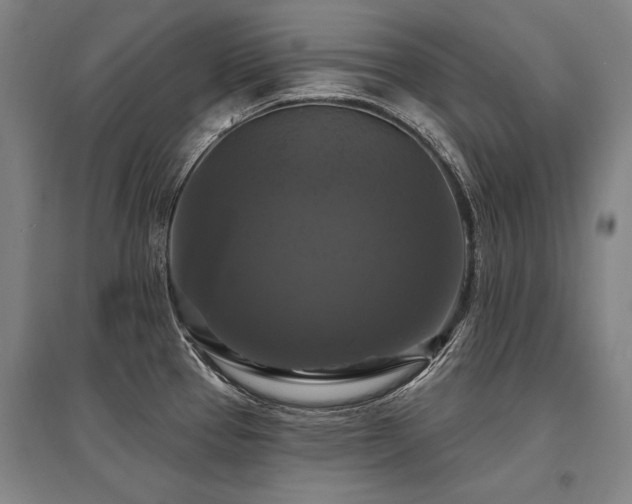 X0000095551337200712141546