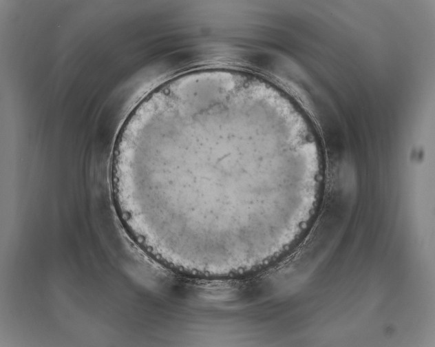 X0000095551338200712141546