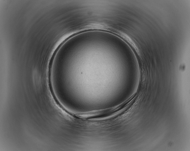 X0000095551339200712141546