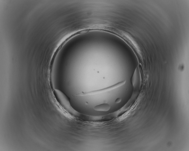 X0000095551340200712141547