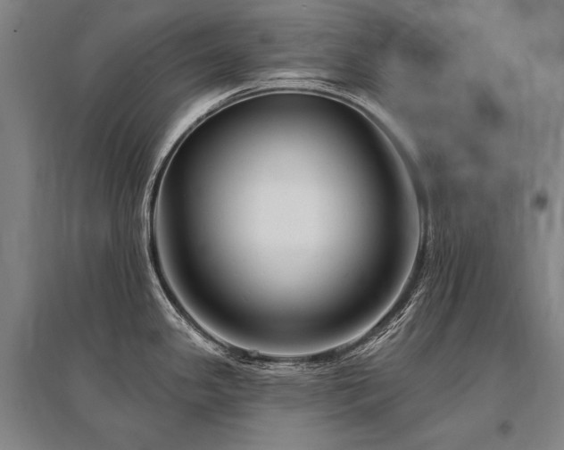 X0000095551341200712141547