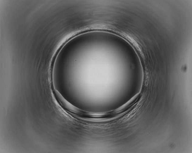 X0000095551342200712141547
