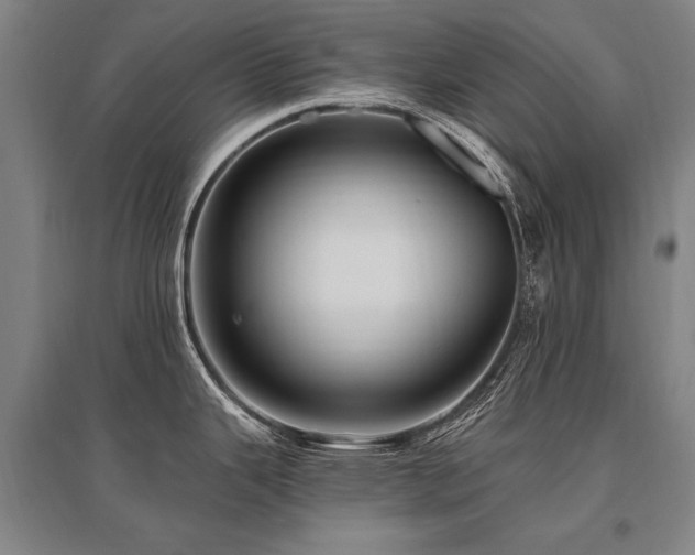 X0000095551343200712141547