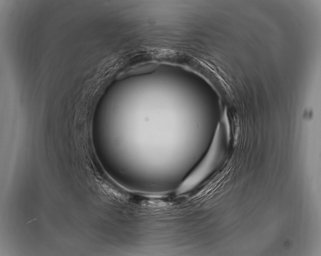 X0000095551345200712141546