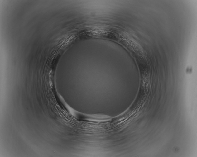 X0000095551346200712141546