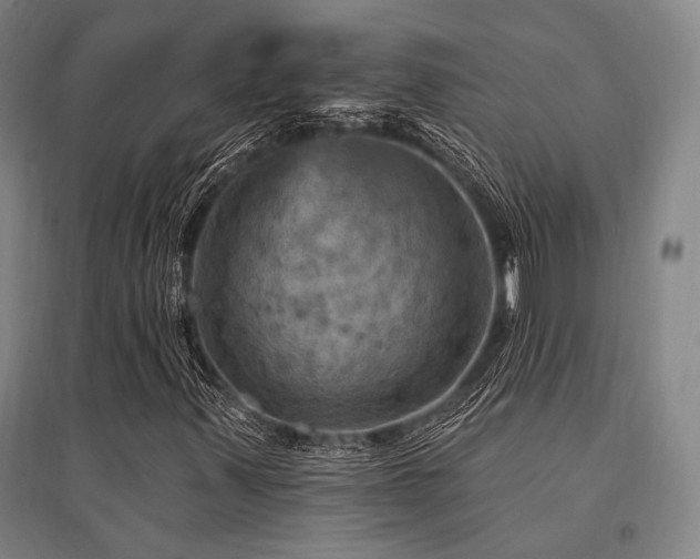 X0000095551347200712141546
