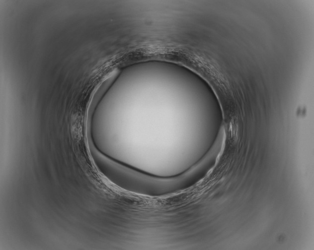 X0000095551348200712141546