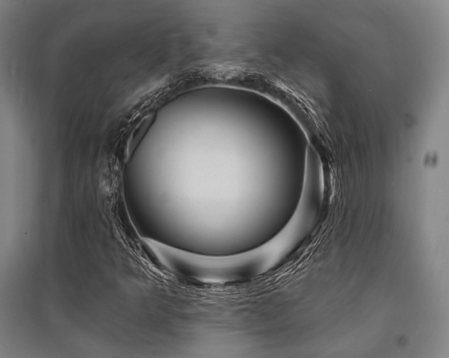 X0000095551349200712141546