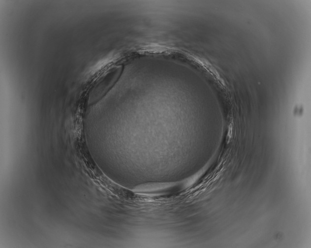 X0000095551350200712141546