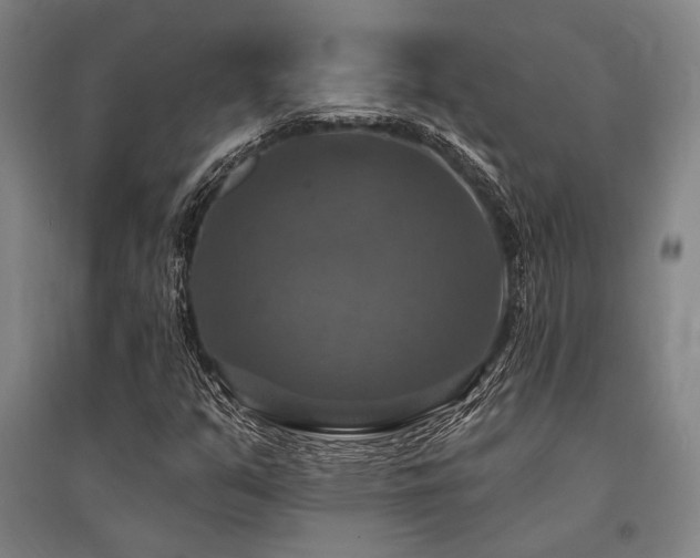 X0000095551351200712141546