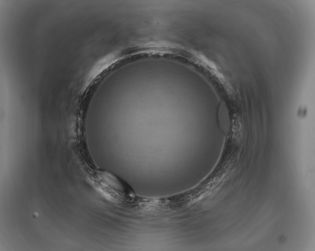X0000095551352200712141546