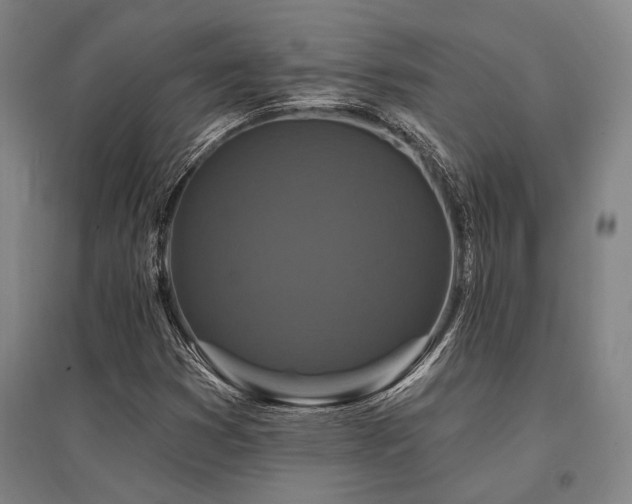 X0000095551353200712141546