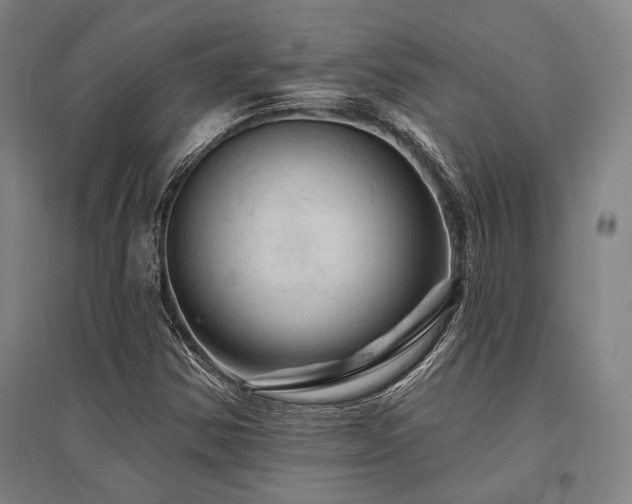 X0000095551354200712141546