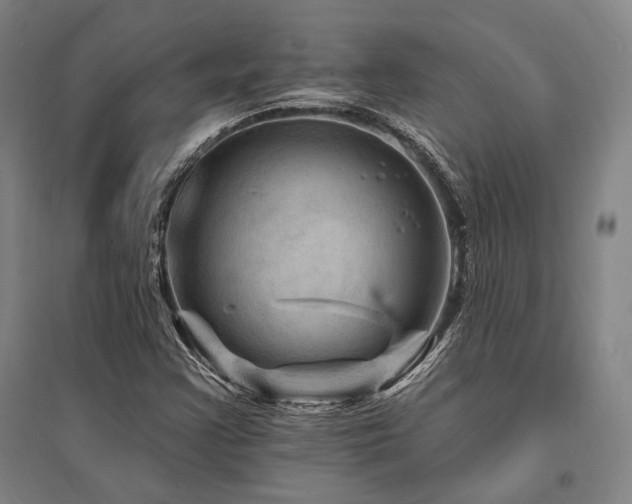 X0000095551355200712141546