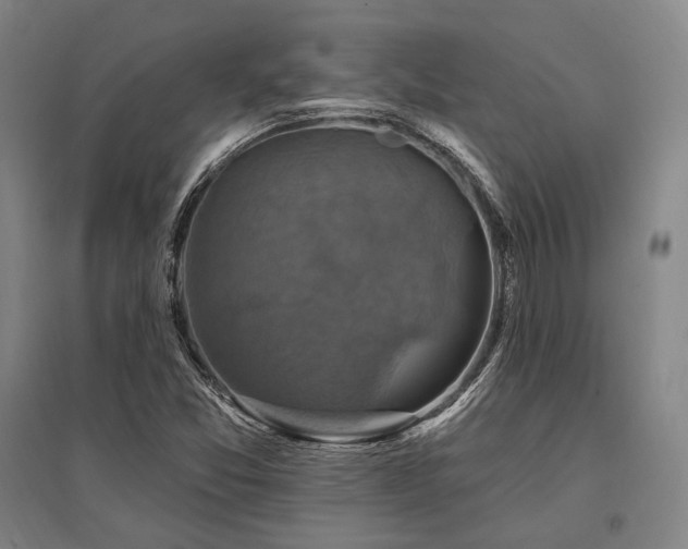 X0000095551357200712141546