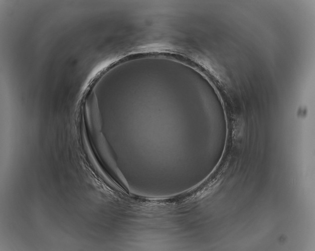 X0000095551358200712141546
