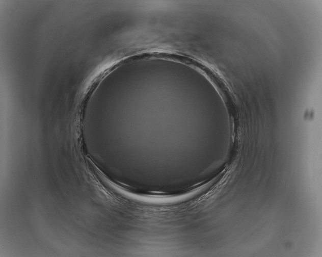 X0000095551359200712141546