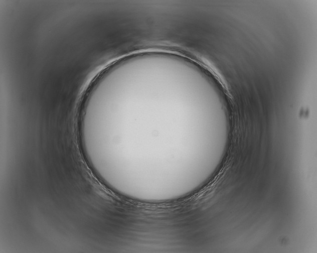 X0000095551360200712141546
