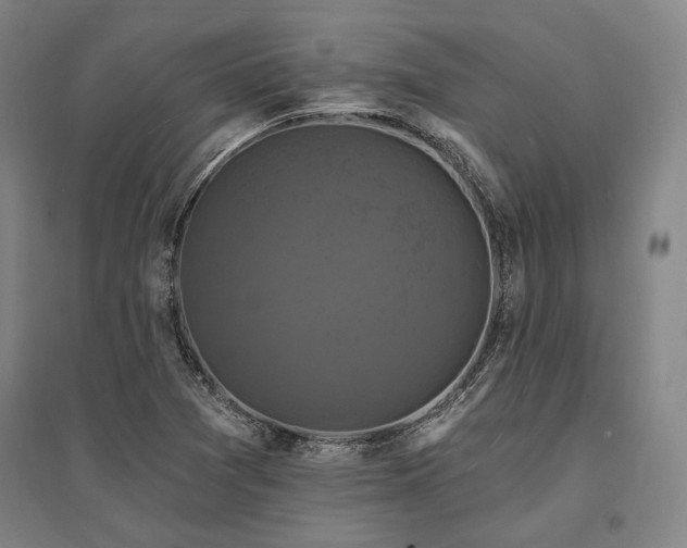 X0000095551361200712141546