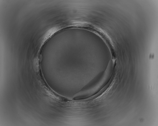 X0000095551362200712141546