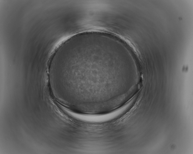 X0000095551363200712141546