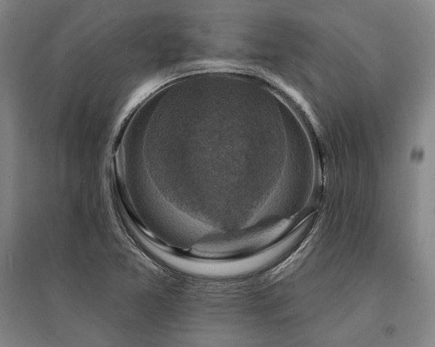 X0000095551365200712141546