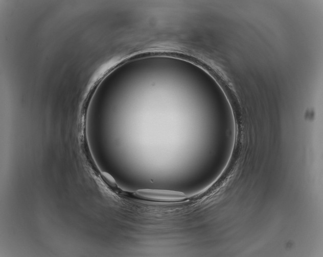 X0000095551366200712141546
